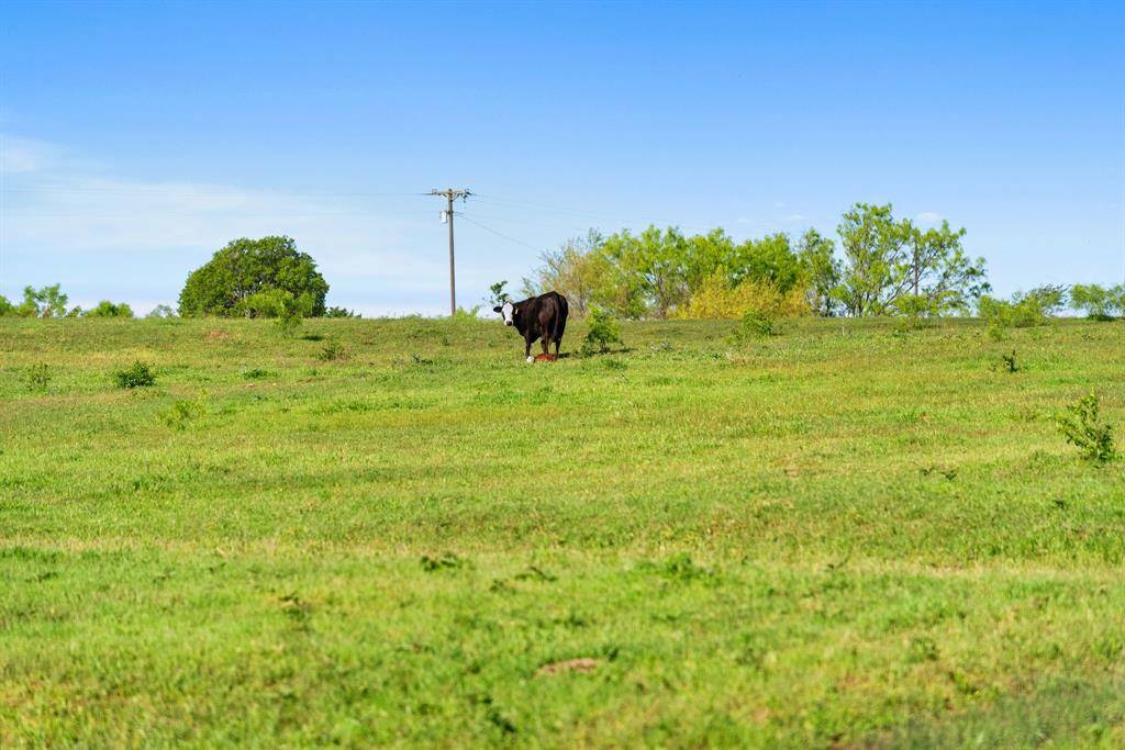 Alvord, TX 76225,1480 County Rd 1180