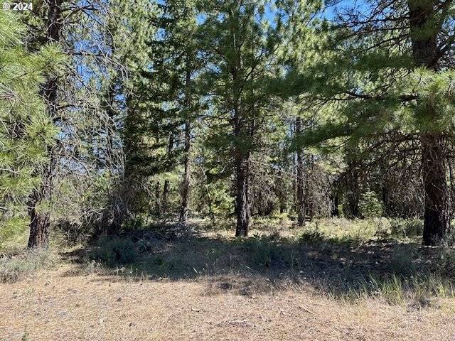 Goldendale, WA 98620,41 TIMBER DR