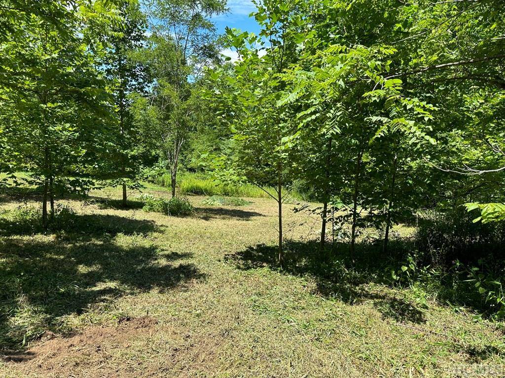 Glenville, NC 28736,Lot 76 Pasture Road