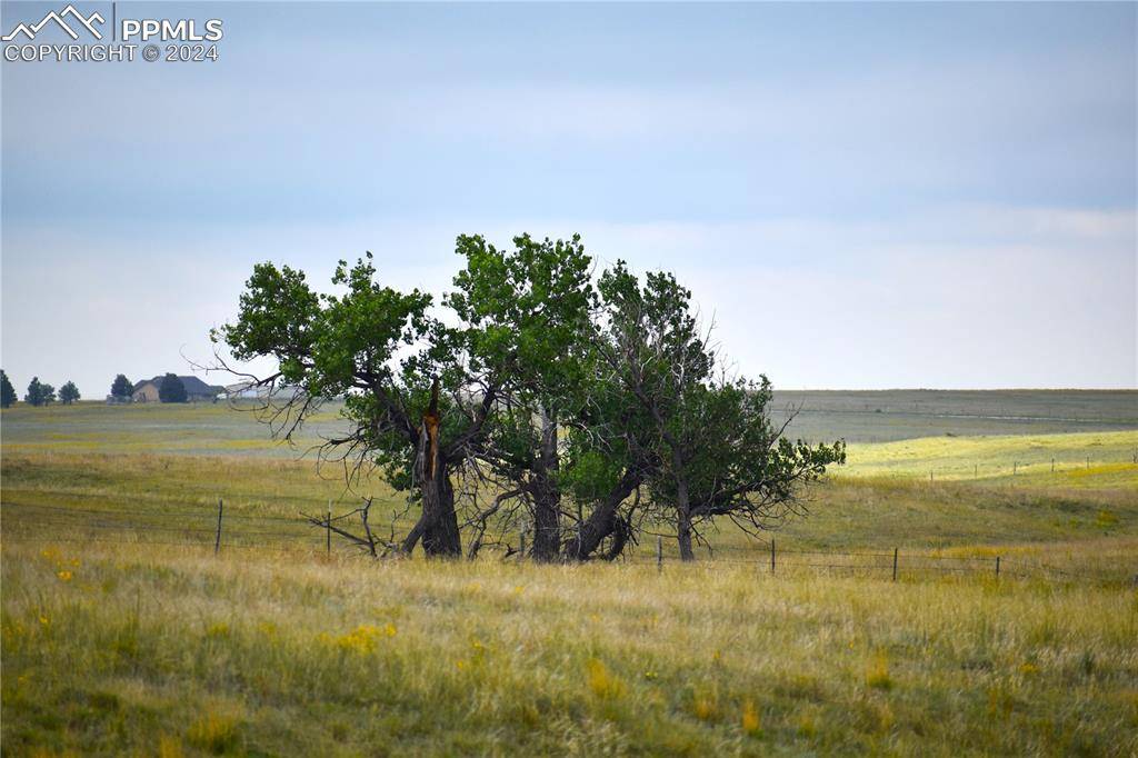 Yoder, CO 80864,E Jones RD