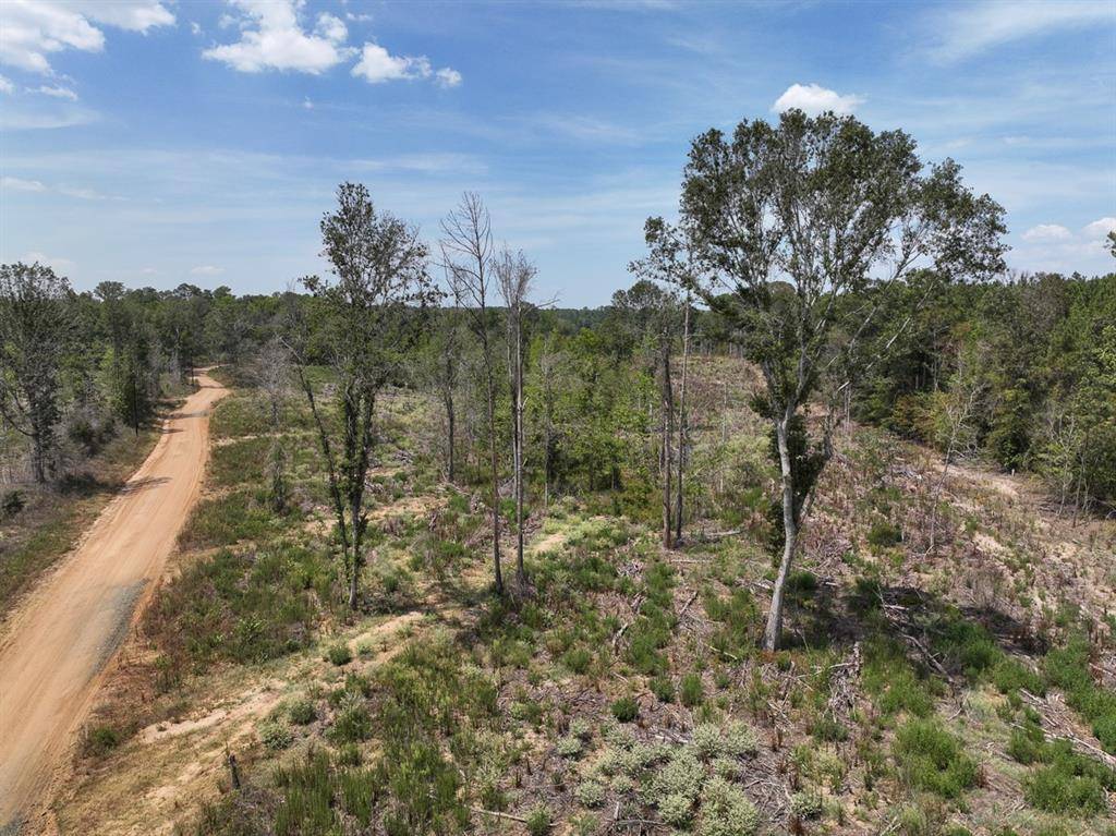 Burkeville, TX 75932,03 CR 2108