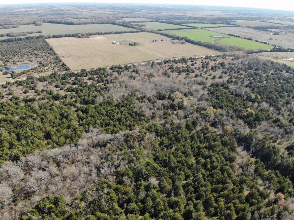 Honey Grove, TX 75446,Lot 1 FM 1743