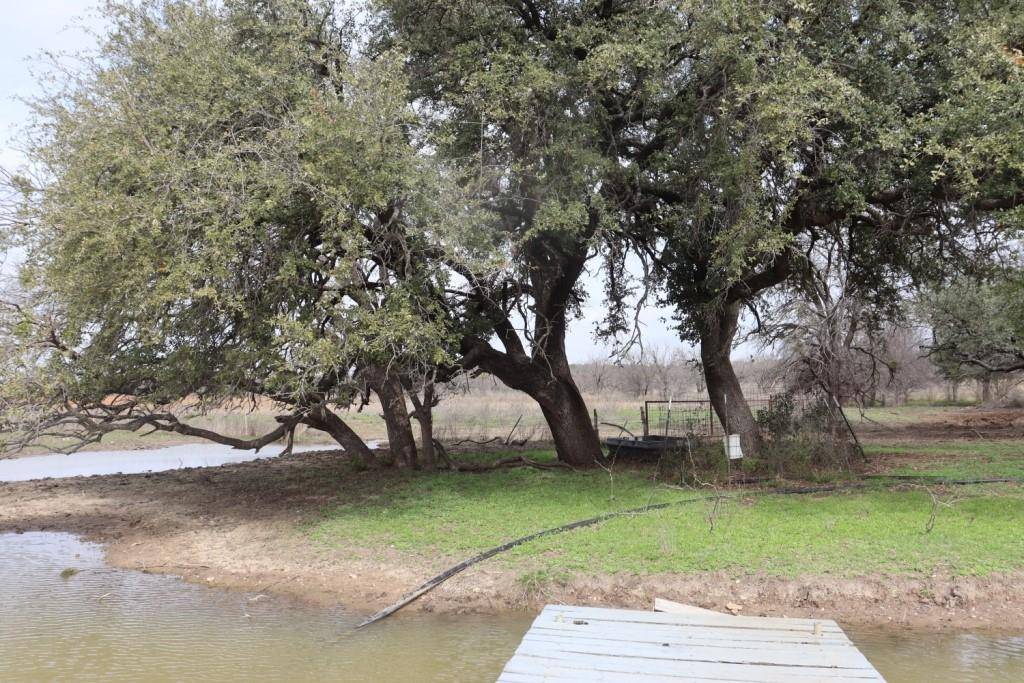 Brookesmith, TX 76827,17999 CR 533