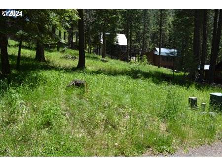 Wallowa Lake, OR 97846,Forest Dell #2700