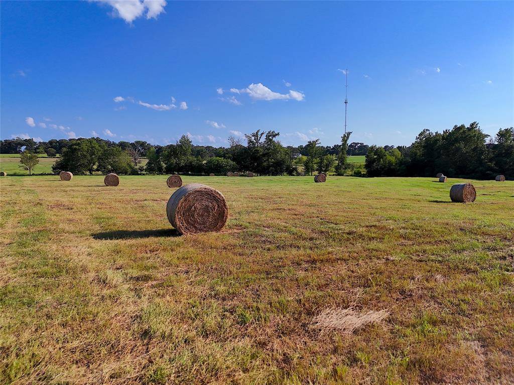 Mount Vernon, TX 75457,0001 TBD HWY 67 HWY 67