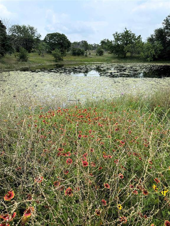 Bluff Dale, TX 76433,10201 Edwards Road