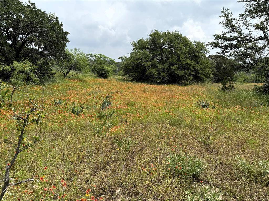 Bluff Dale, TX 76433,10201 Edwards Road