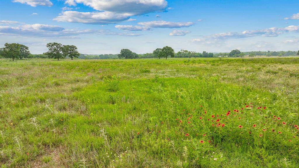 Cisco, TX 76437,TBD County Road 217