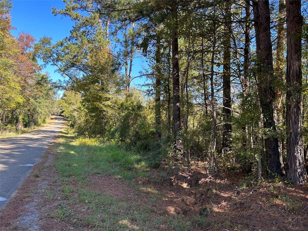 Haynesville, LA 71038,00 Maddox Road Road