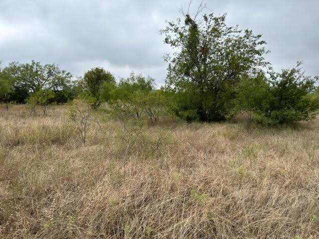 Graford, TX 76449,Lot 936 Frog Branch