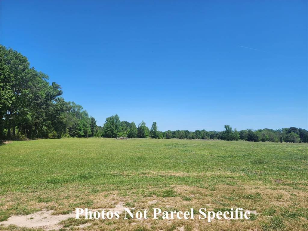 Gilmer, TX 75644,11200 Sweet Pea Road #Parcel A