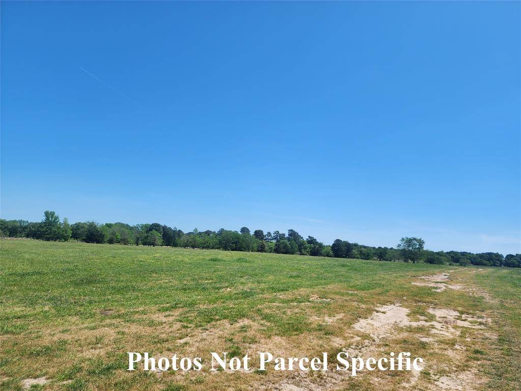 Gilmer, TX 75644,11200 Sweet Pea Road #Parcel A