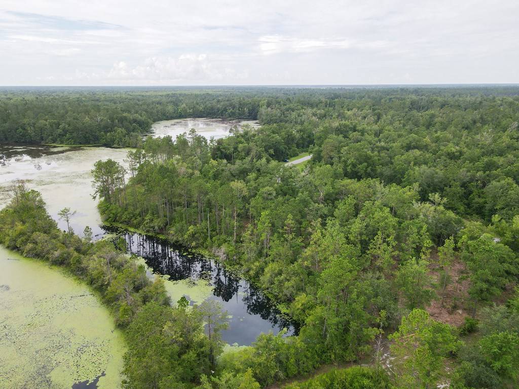 Wewahitchka, FL 32465,Lot 18 Seven Springs Dr