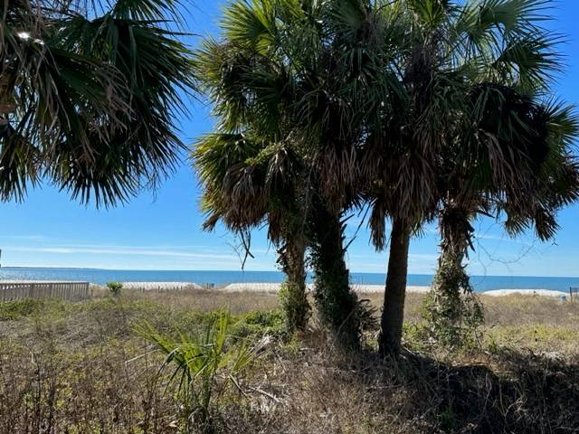 Port St. Joe, FL 32456,Lot 4 Hwy 98