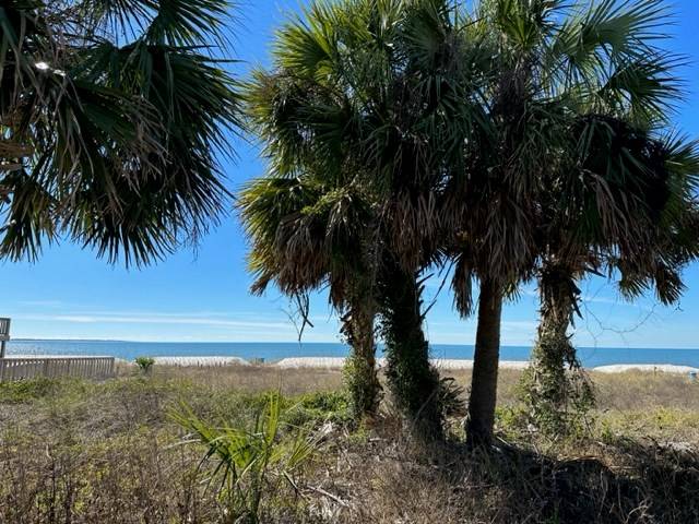 Port St. Joe, FL 32456,Lot 4 Hwy 98