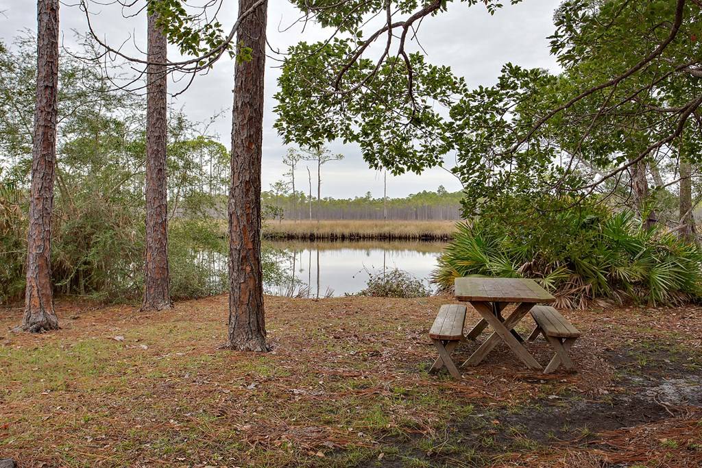 Carrabelle, FL 32322,15 White Way