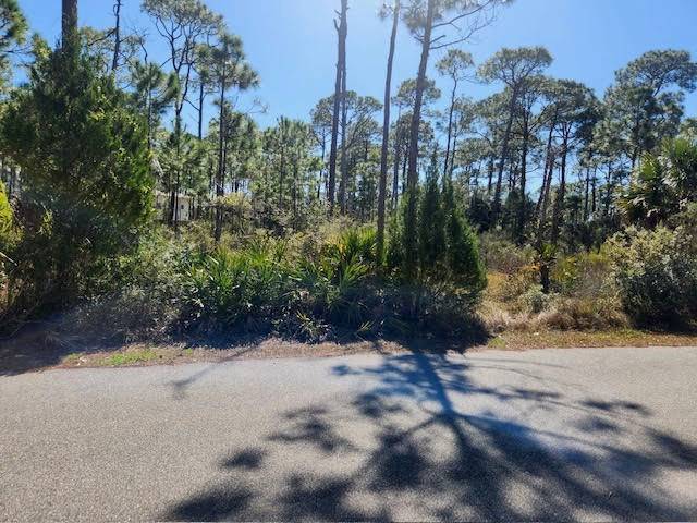 St. George Island, FL 32328,1663 Forsythia Trail