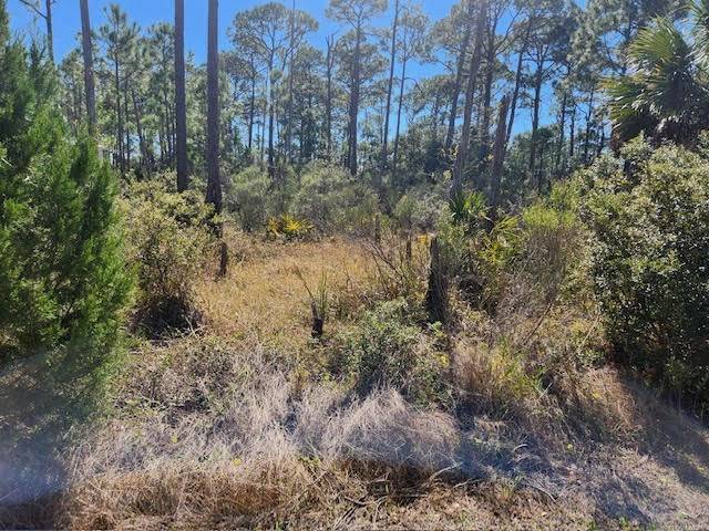 St. George Island, FL 32328,1663 Forsythia Trail