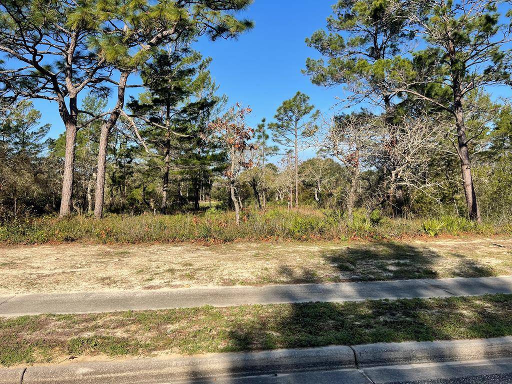 Carrabelle, FL 32323,131 Laughing Gull Ln