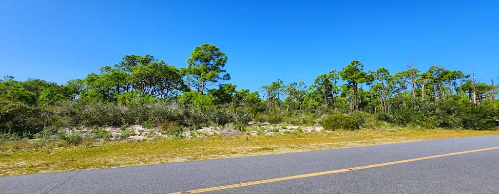 St. George Island, FL 32328,1232 Sea Pines Pl