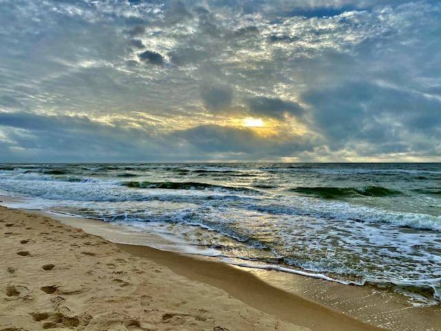 St. George Island, FL 32328,2005 Sand Dollar Trl