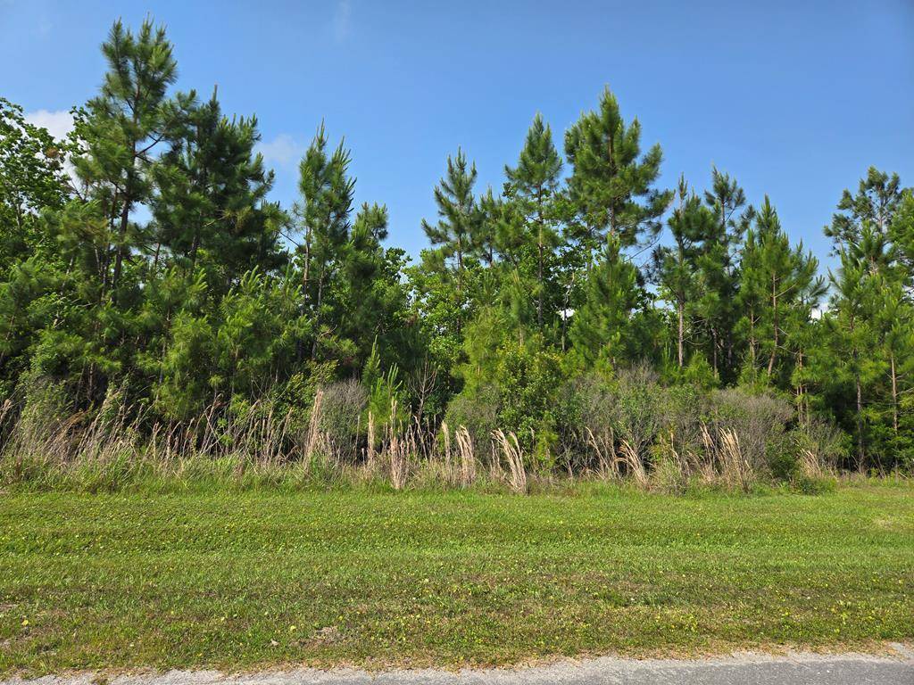 Wewahitchka, FL 32465,Lot 68 Wide Water Cir