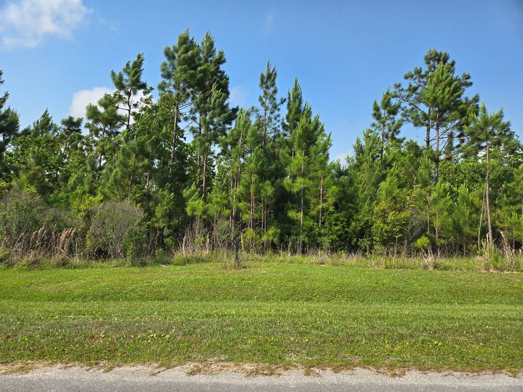 Wewahitchka, FL 32465,Lot 68 Wide Water Cir