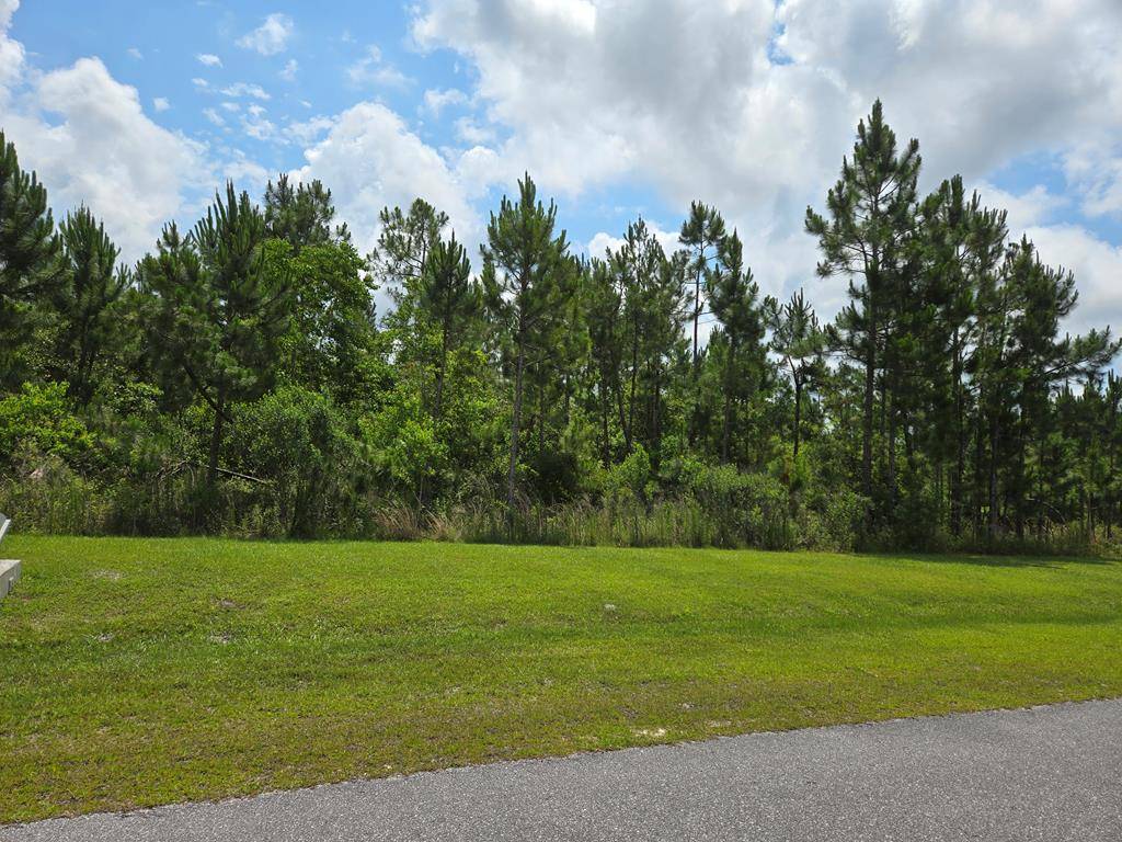 Wewahitchka, FL 32465,Lot 12 Wide Water Cir