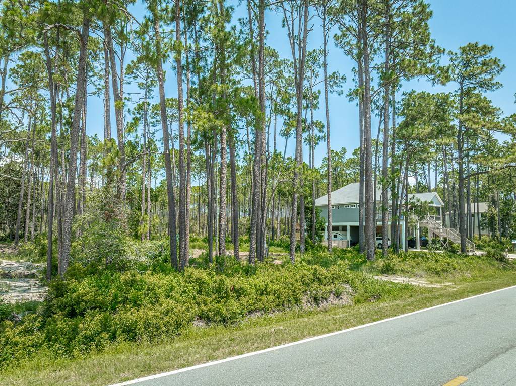 Carrabelle, FL 32322,2987 Hwy 98 E