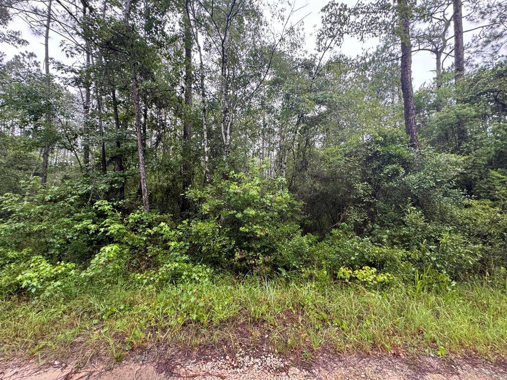 Sopchoppy, FL 32358,TBD Maleah Ln