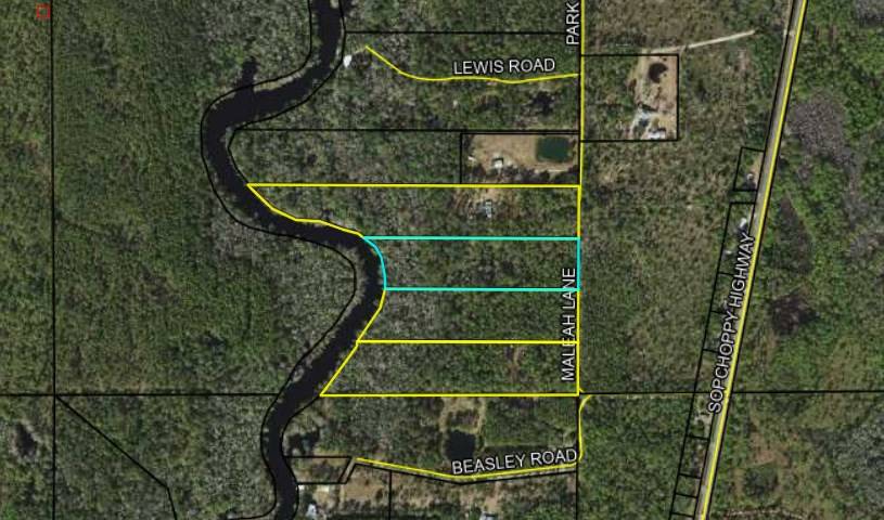 Sopchoppy, FL 32358,TBD Maleah Ln