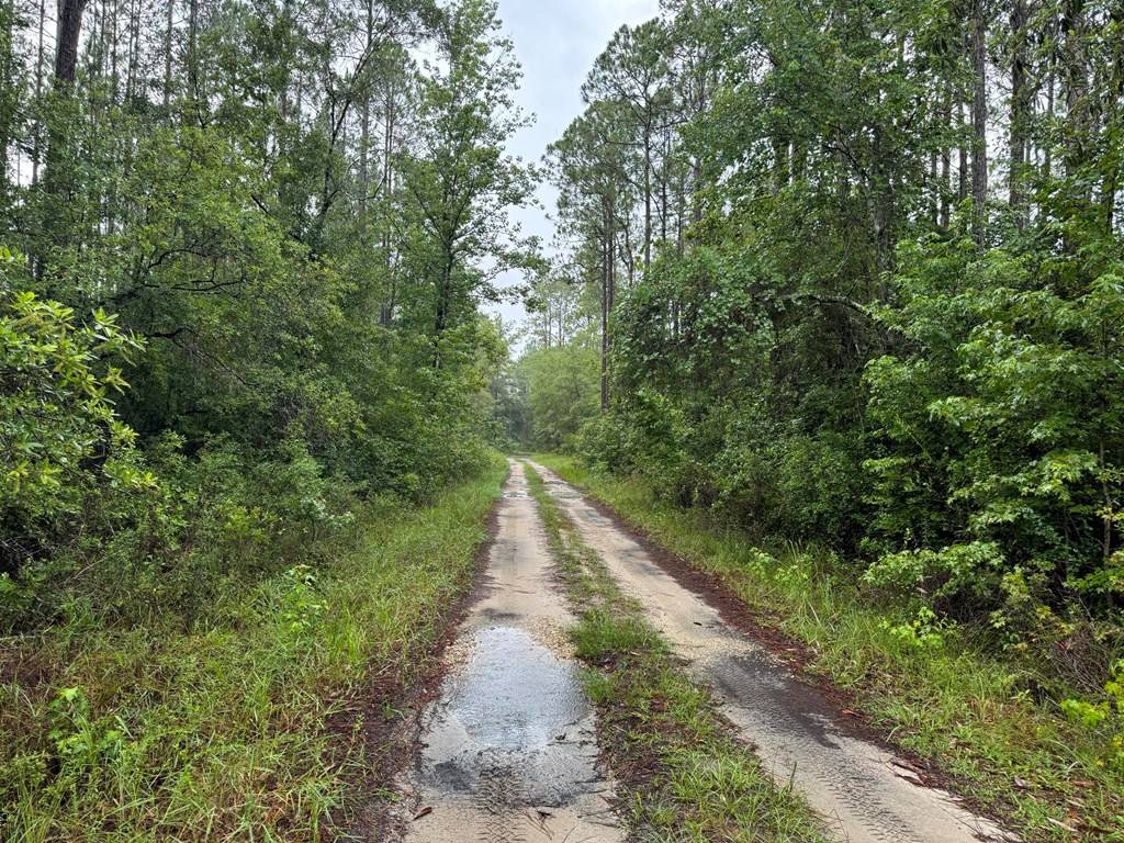 Sopchoppy, FL 32358,TBD Maleah Ln