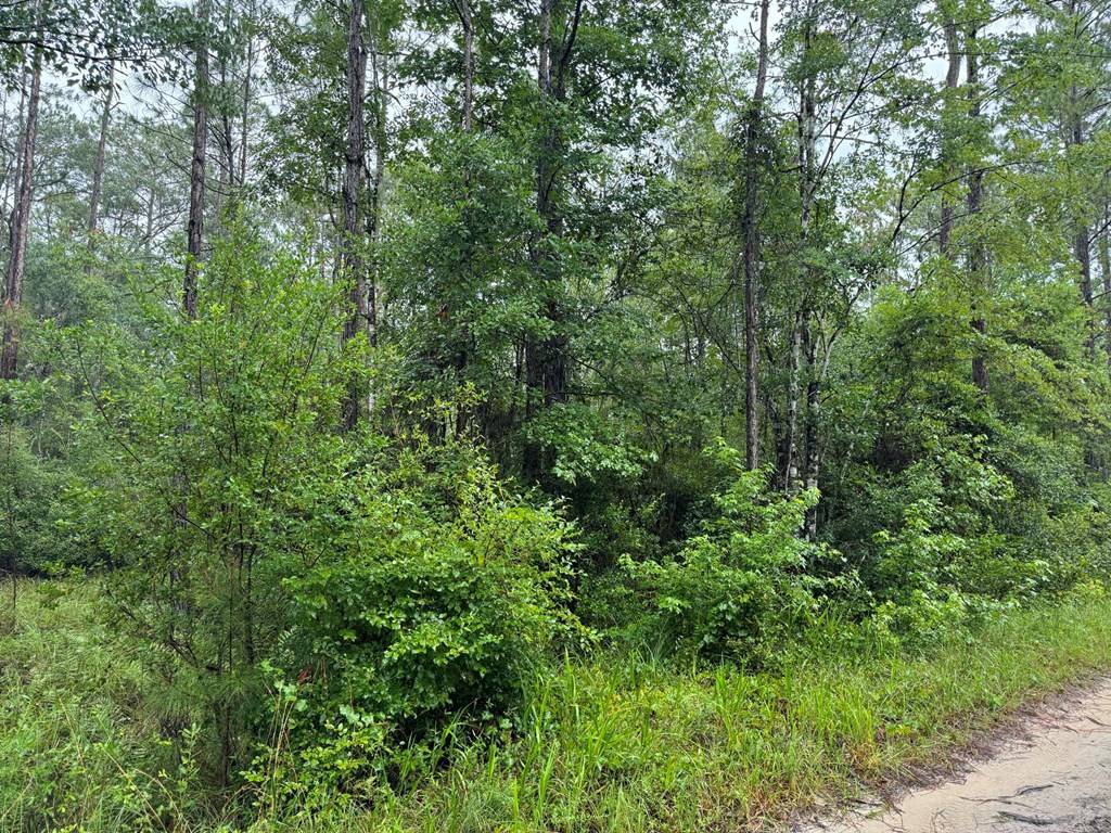 Sopchoppy, FL 32358,TBD Maleah Ln