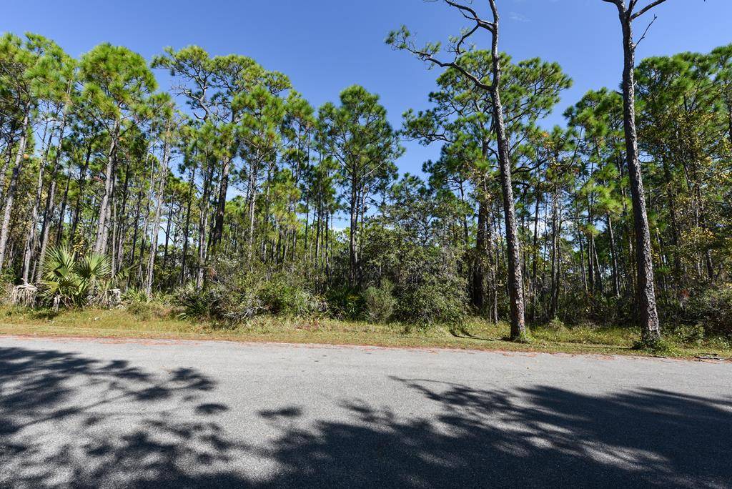 St. George Island, FL 32328,1408 Bayberry Ln