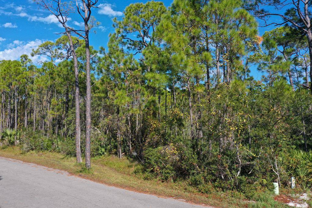 St. George Island, FL 32328,1408 Bayberry Ln