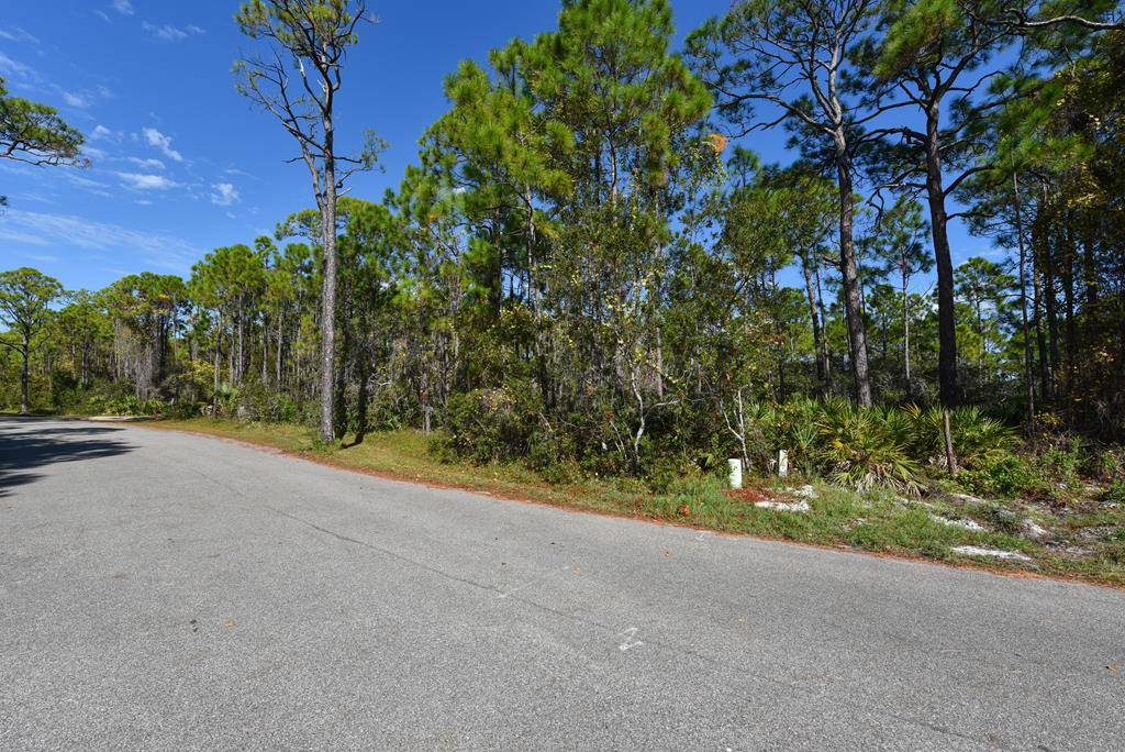 St. George Island, FL 32328,1408 Bayberry Ln