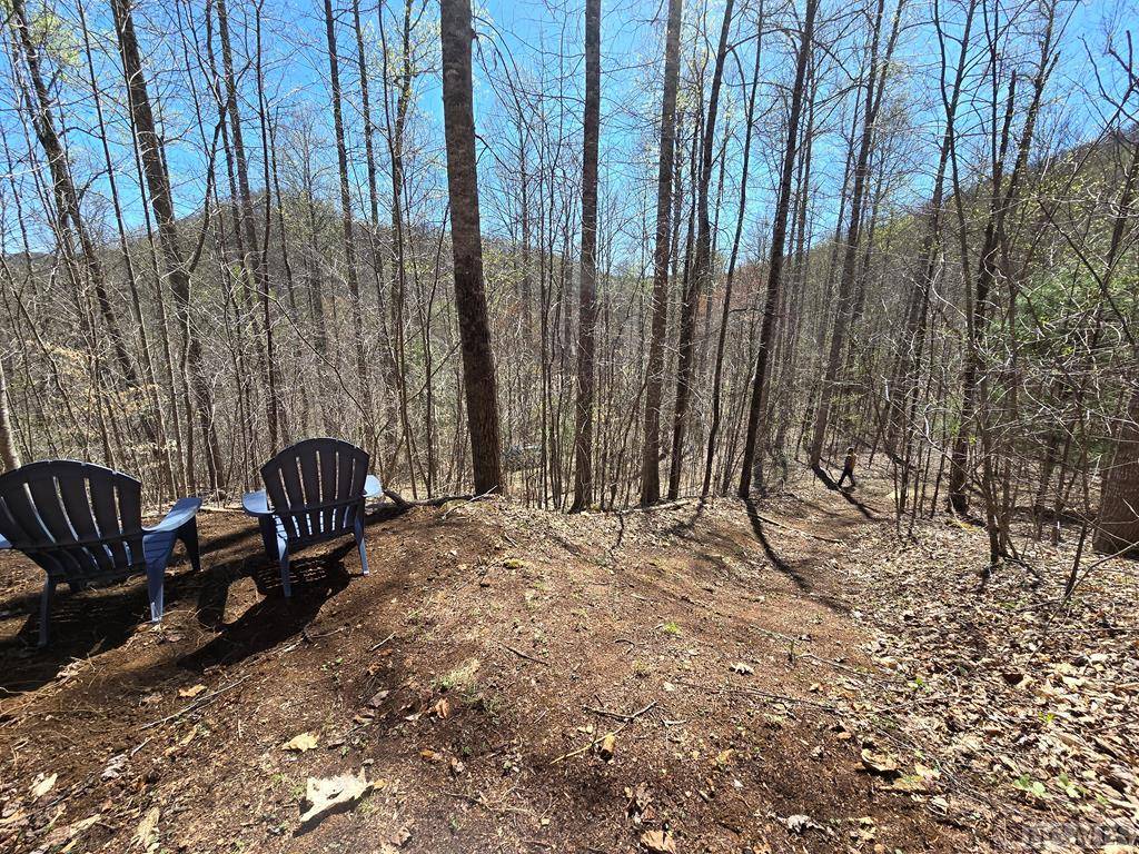 Glenville, NC 28736,Lot 39 Sweetspring Trail