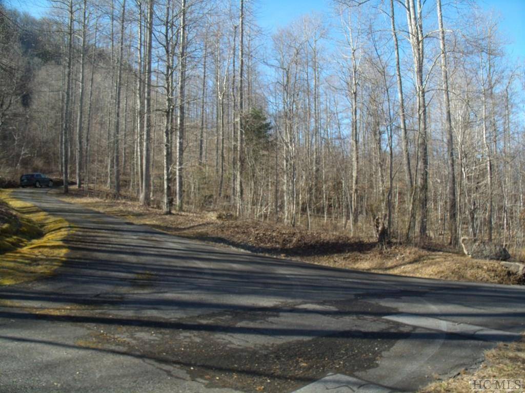 Glenville, NC 28736,Lot 39 Sweetspring Trail