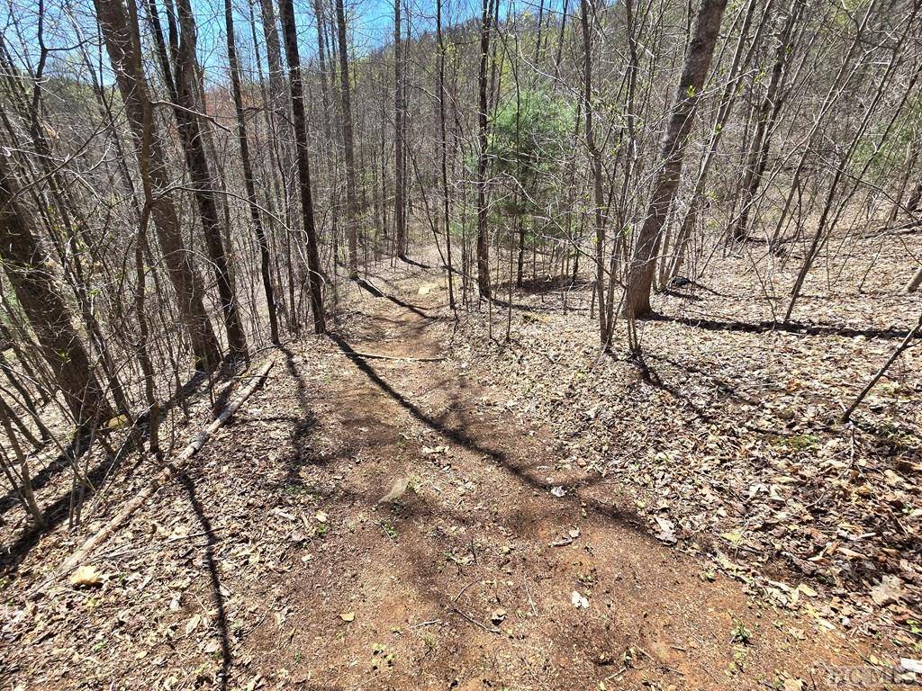 Glenville, NC 28736,Lot 39 Sweetspring Trail