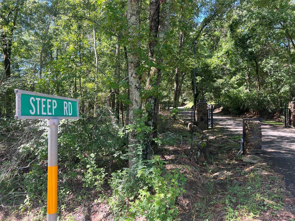 Brownsboro, TX 75756,16151 Steep Road