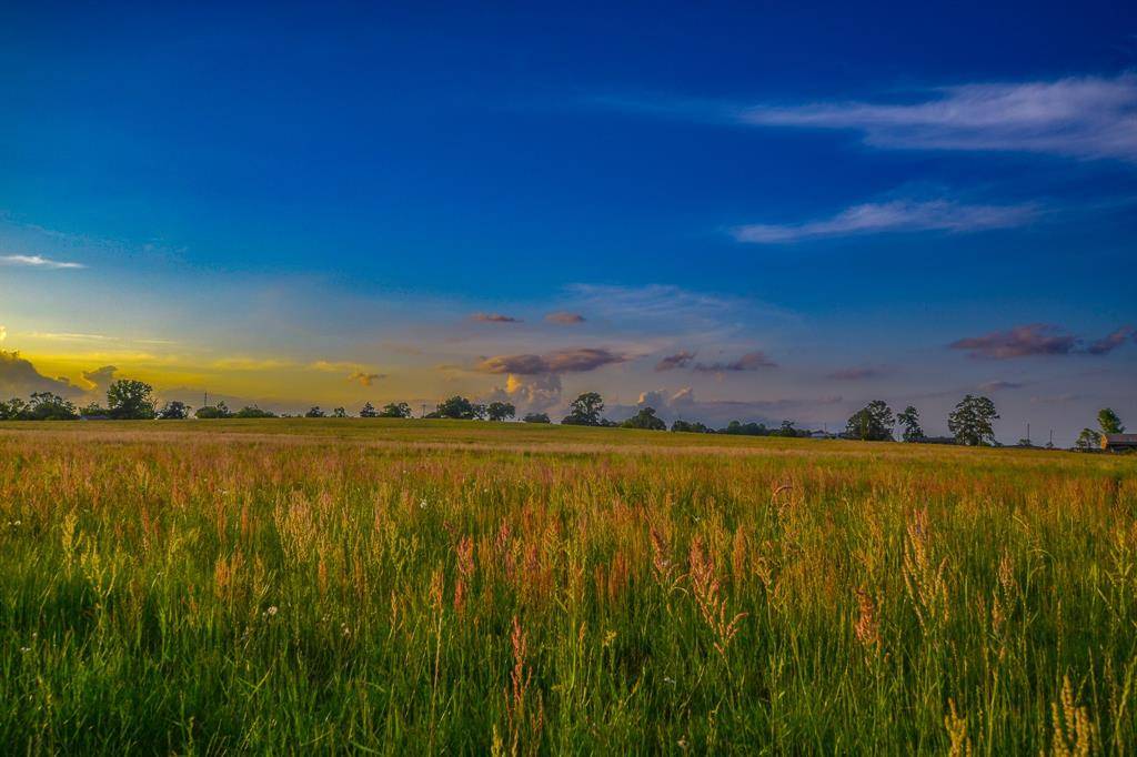 Ben Wheeler, TX 75754,TBD VZ County Road 4212