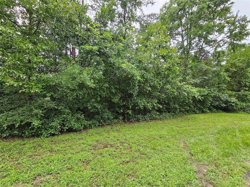 Jefferson, TX 75657,TBD Lot 266 Ponce Deleon Drive