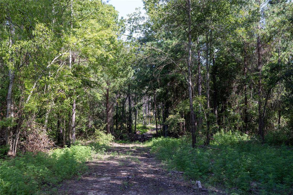 Jacksonville, TX 75766,Tract 4 County Road 1713