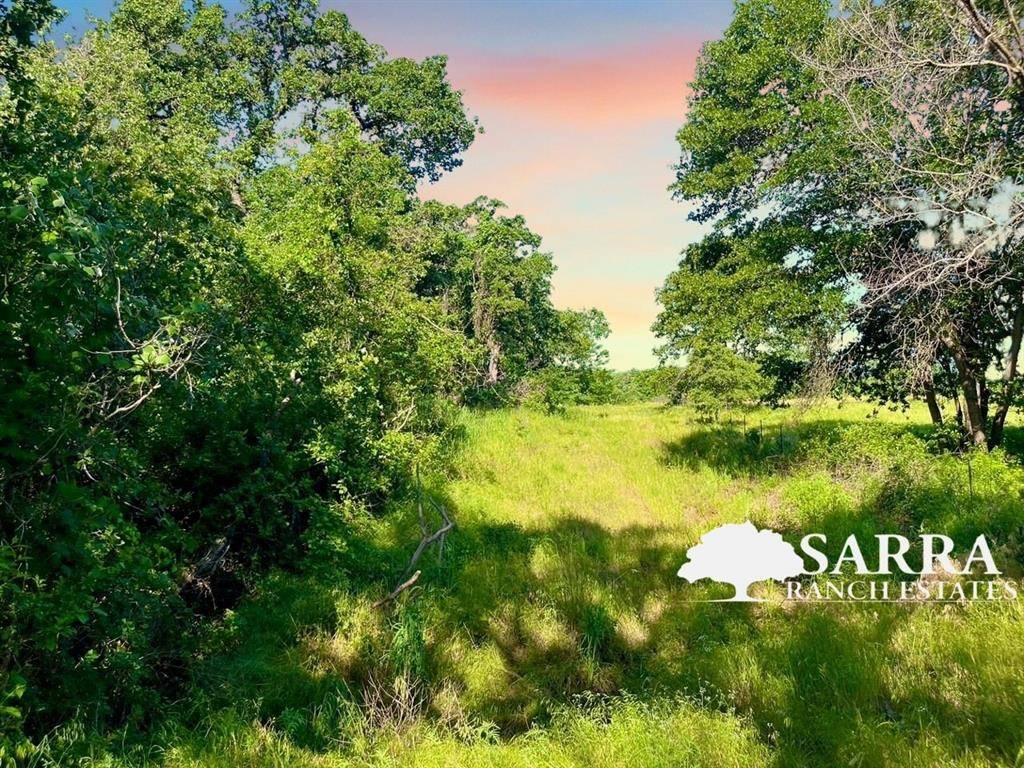 Poolville, TX 76487,Lot 51 Wicklow Court