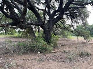 Springtown, TX 76082,14 ac CR 3757