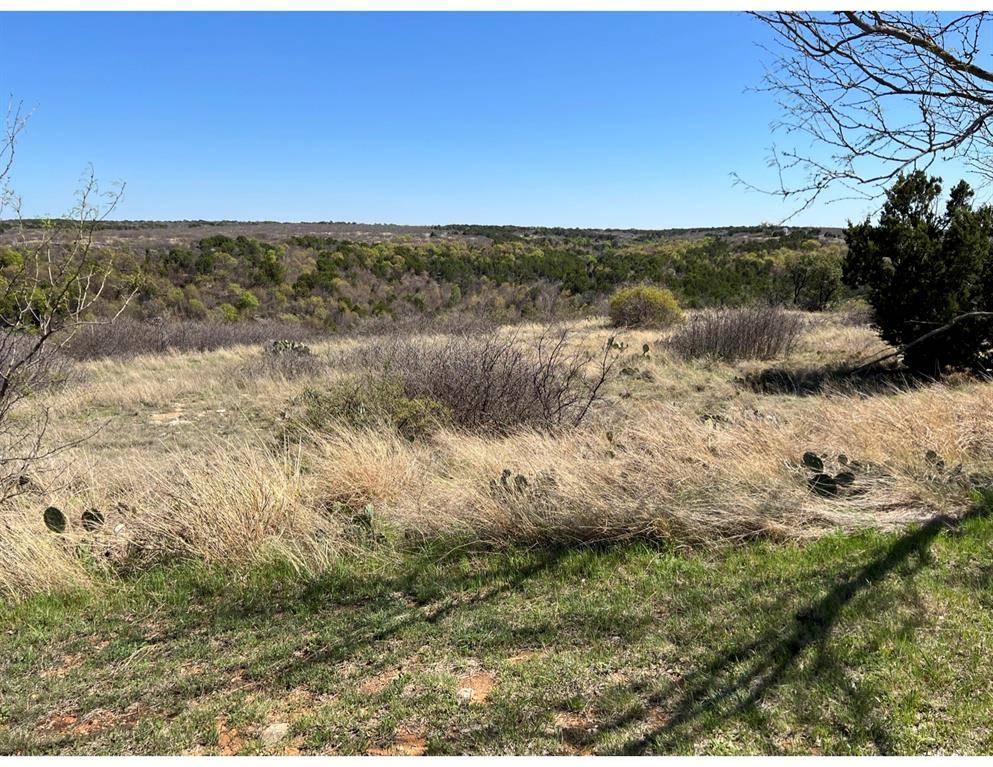 Graford, TX 76449,Lot 105 Oak Tree Drive