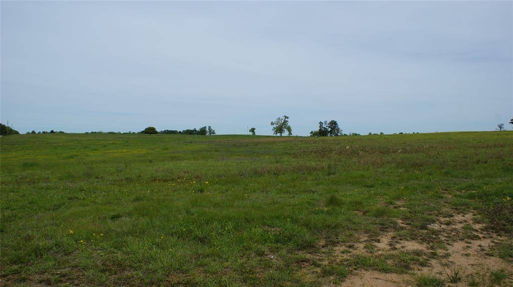 Crockett, TX 75835,LOT 33 FM 2712