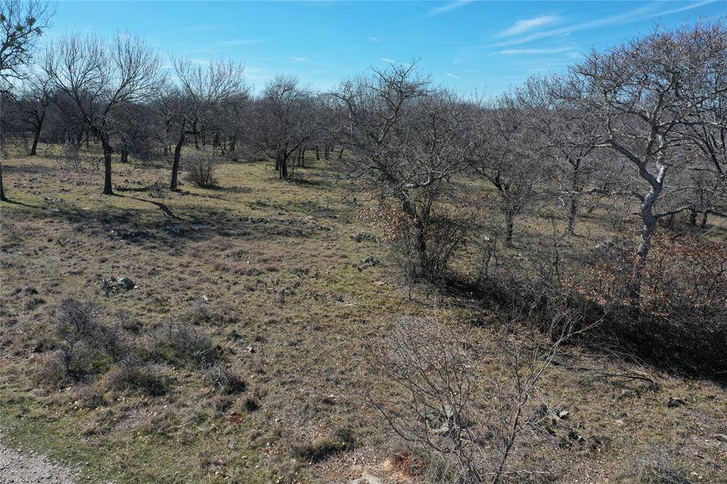 Chico, TX 76431,TBD Grand Harbor Boulevard