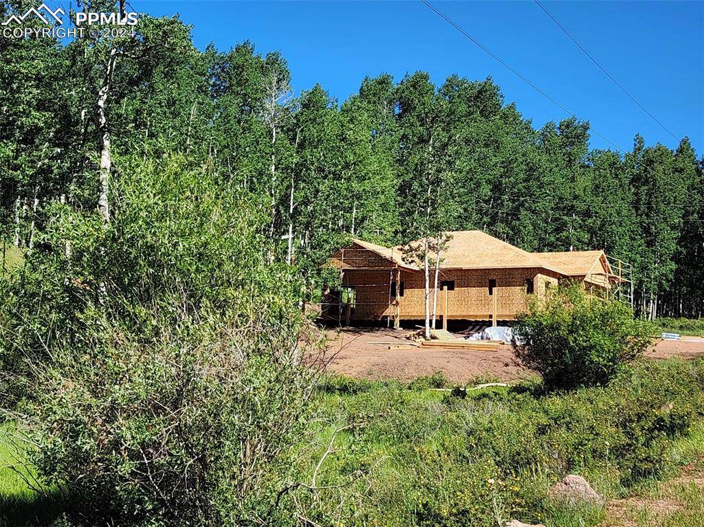 Cripple Creek, CO 80813,77 Granite LN