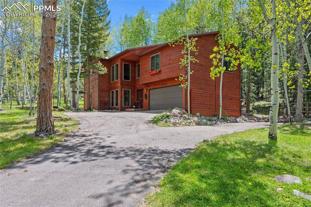 Woodland Park, CO 80863,1231 Kings Crown RD